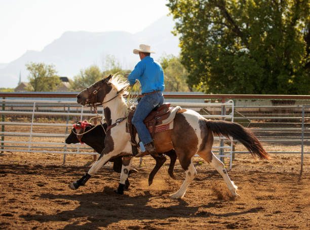 istock Team roping rodeo action USA 1283234639