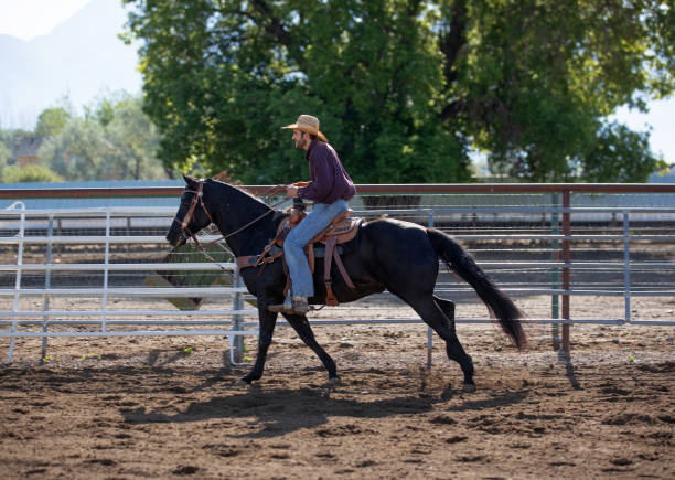 istock Cowboy practicing with horse at the rodeo arena 1283234735
