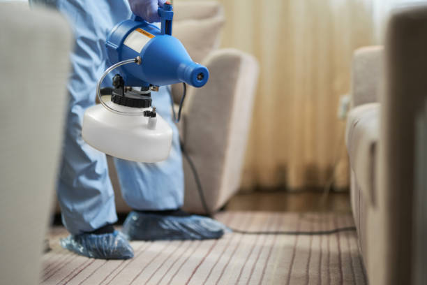 istock Worker holding disinfectant while standing and working in hotel room 1283238662