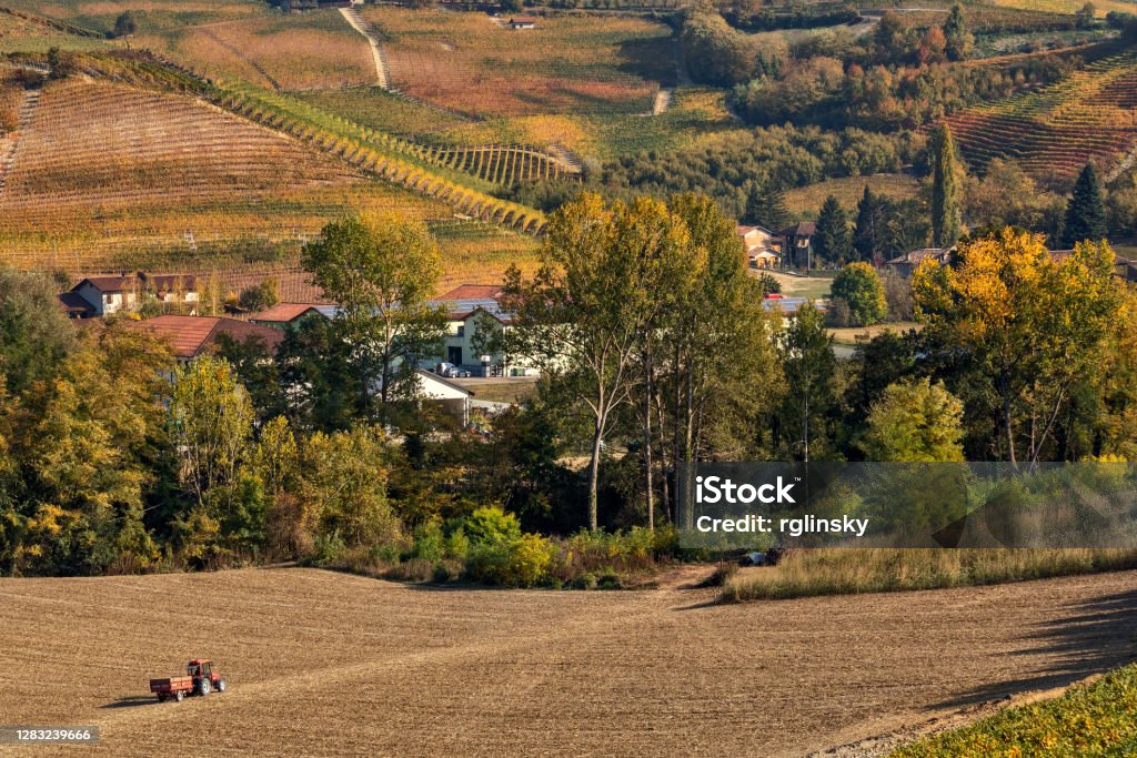 Tractor on rural field as autumnal hills on background in Italy. View of tractor on rural field as colorful autumnal fields on background in Piedmont, Northern Italy. Agricultural Field Stock Photo