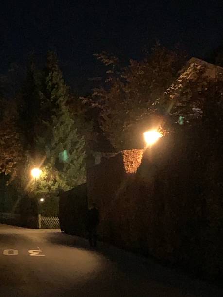 istock illuminated street lamps with hedge at night 1283240525