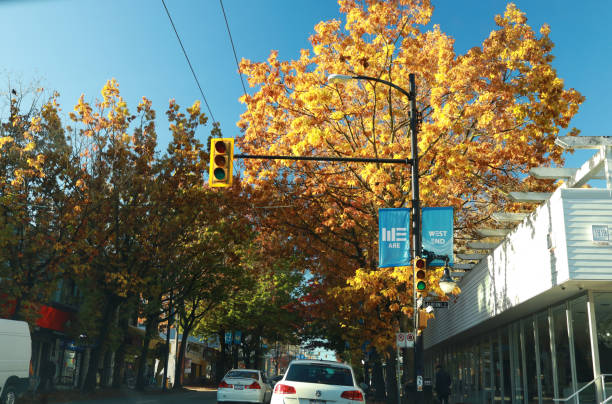 mañana de otoño en el barrio west end de vancouver, canadá - canada urban scene stoplight clear sky fotografías e imágenes de stock