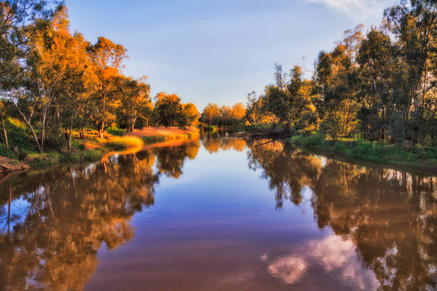 istock D Dubbo wide foot upstream 1283244515
