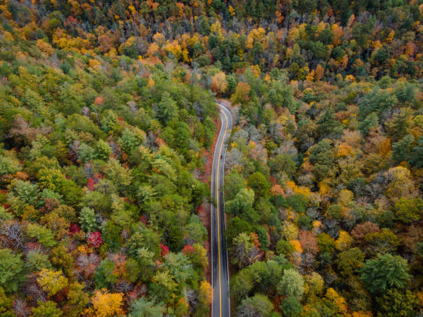 vista aérea de la cola del dragón en otoño - blue ridge mountains mountain range north carolina tennessee fotografías e imágenes de stock