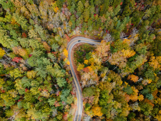 Aerial View of the Tail of the Dragon in the Fall Aerial View of the Tail of the Dragon road near the Tennessee and North Carolina border in the Smoky Mountains in the fall. great smoky mountains highway stock pictures, royalty-free photos & images