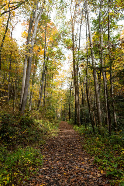 istock Hiking on the Appalachian Trail in the Fall 1283247354