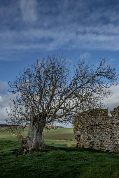 istock Old Stone Ruins Of Yesterday. 1283248050