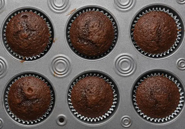 HIgh angle shot of a muffin pan with 6 fresh baked chocokate muffins.