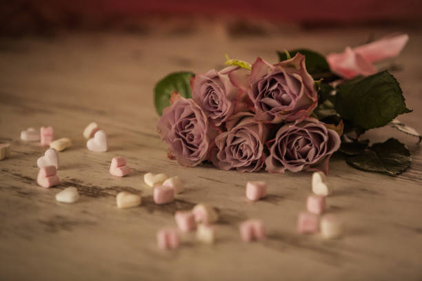 Beautiful red rose, a red gift box and the text \