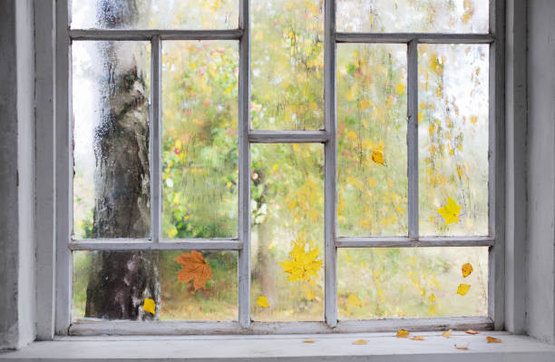 istock white old wooden window with rain drops and autumn leaves 1283257630