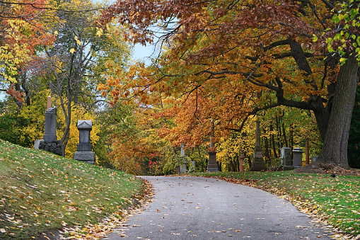 Cemetery road with colorful foliage in autumn