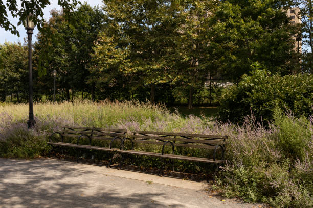 istock Empty Bench with Green Plants and Trees on Randalls and Wards Islands during Summer in New York City 1283268003