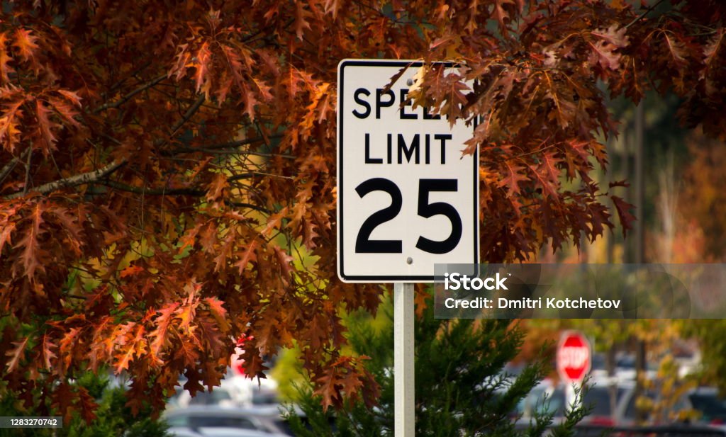 Road signs under fall oak foliage in Redmond, Washington Downtown District Stock Photo