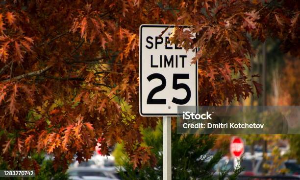 Road Signs Under Fall Oak Foliage In Redmond Washington Stock Photo - Download Image Now