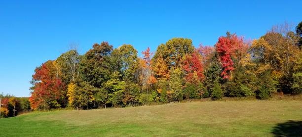 istock Autumn Views with a Line of Colorful Trees 1283274885