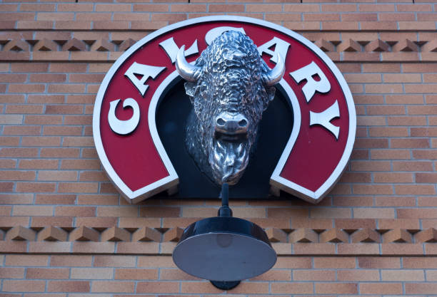 Calgary, AB Canada - October 27, 2020:  American Buffalo or Bison Animal Head Statue at Entrance Gate to Famous Heritage Park in South Calgary