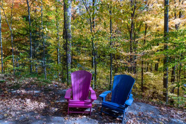 Photo of Autumn forest pathway at Kortright Centre Conservation, Woodbridge, Vaughan, Canada