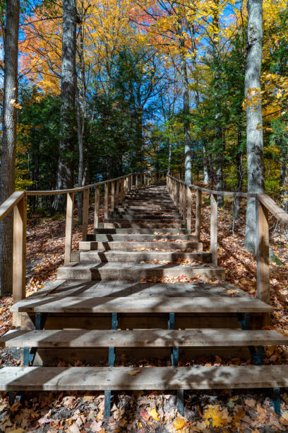 istock Autumn forest pathway at Kortright Centre Conservation, Woodbridge, Vaughan, Canada 1283275626