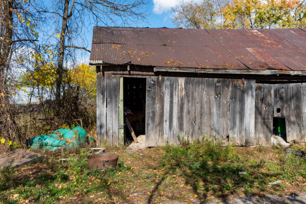 istock Kortright Centre for Conservation at Woodbridge, Vaughan, Canada 1283277647
