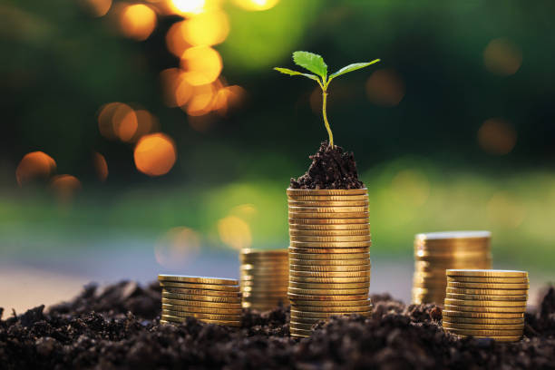 Investment ideas for success Return on investment concept and saving money
Seedling on a blurred natural background responsible business stock pictures, royalty-free photos & images