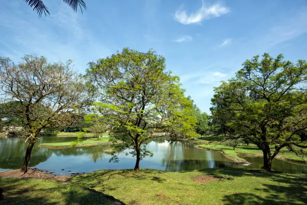 A charming view Taiping Lake Garden, Perak, Malaysia.