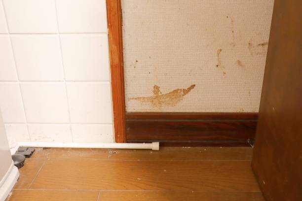 istock Oil stains on the wall 1283282109
