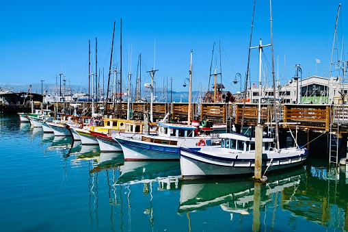 A lineup of fishing boats in a calm harbour, San Francisco