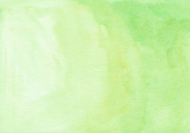 istock Watercolor light yellow green color background texture. Watercolour lime gradient hand painted. Stains on paper. 1283284785