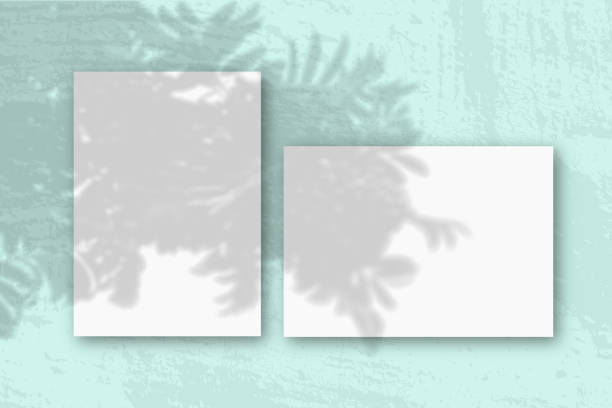 istock Horizontal and vertical sheets of white textured paper against a pink wall background. Mockup with an overlay of plant shadows. Natural light casts shadows from a tropical plant 1283287455