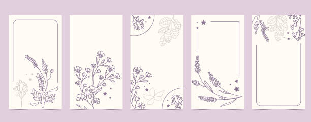 boho background for social media with lavender,flower on white background boho background for social media with lavender,flower on white background storyboard template stock illustrations