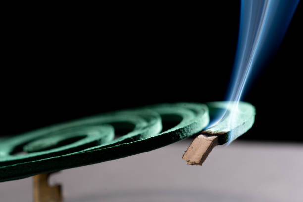 istock Spiral green Mosquito coils, 1283292969