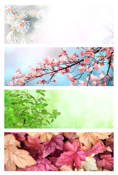istock Four seasons of year 1283293636