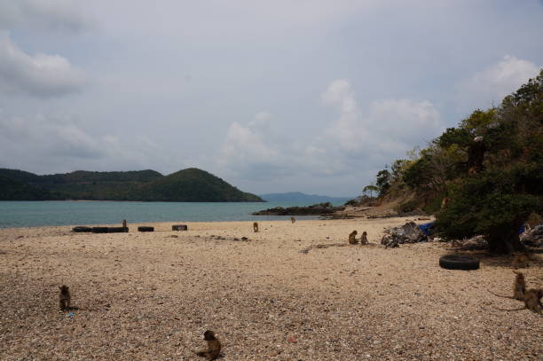 istock travel to Thailand 1283294434