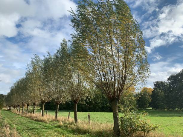 istock Autumn walk in the park 1283298647