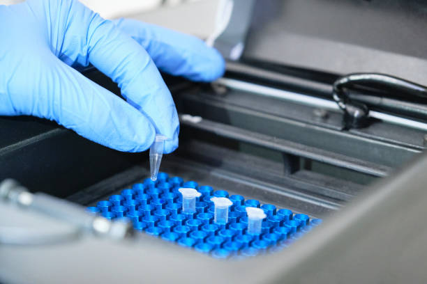 istock A researcher putting PCR tubes on the thermal cycler for DNA amplification 1283300543