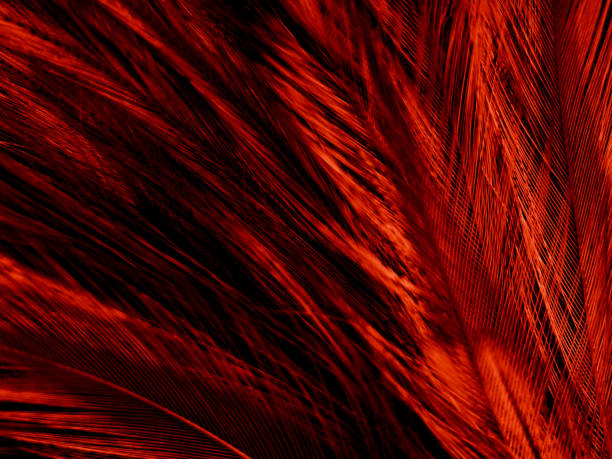 istock Beautiful abstract red feathers on dark background and soft white feather texture on red pattern and red background, pink feather wallpaper, love theme, wedding valentines day 1283300732