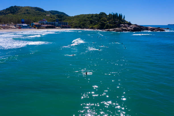 Surfers at Joaquina Beach in Florianópolis, Santa Catarina, Brazil. Surfers at Joaquina Beach in Florianópolis, Santa Catarina, Brazil. joaquina beach in florianopolis santa catarina brazil stock pictures, royalty-free photos & images