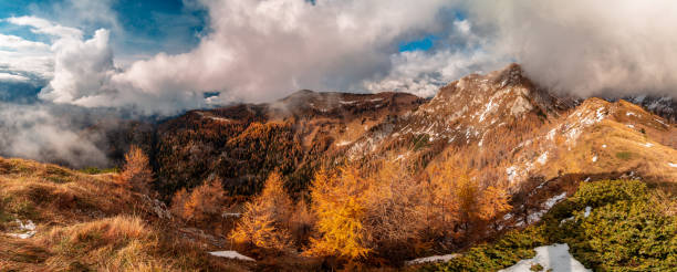 trekking in einem bewölkten herbsttag in der dolomiti friulane, friaul-julisch venetien - cloud day friuli venezia giulia pine tree stock-fotos und bilder