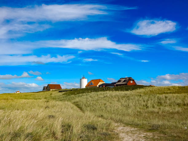 istock On the North Sea beach in Denmark 1283303957