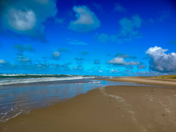 istock On the North Sea beach in Denmark 1283303974