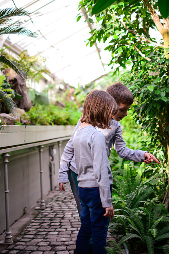 Young Caucasian children enjoy in greenhouse /botanical garden.