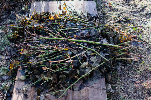 istock Small twigs and dry chips on a concrete background , lying in a pile under the open sky for 1283305095