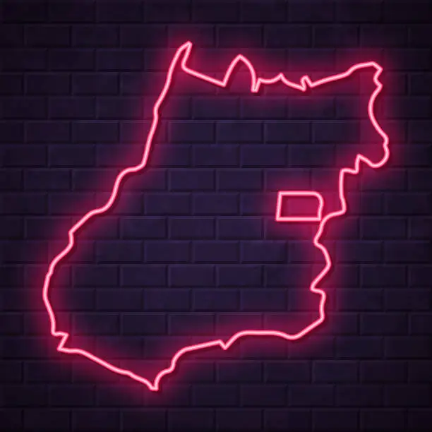 Vector illustration of Goias map - Glowing neon sign on brick wall background