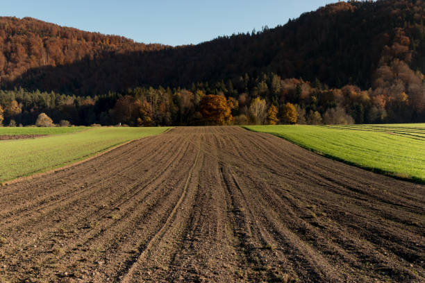 campo arato pronto per la semina - plowed field dirt sowing field foto e immagini stock