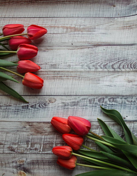 istock Red tulips with leaves lie on a wooden background 1283307633