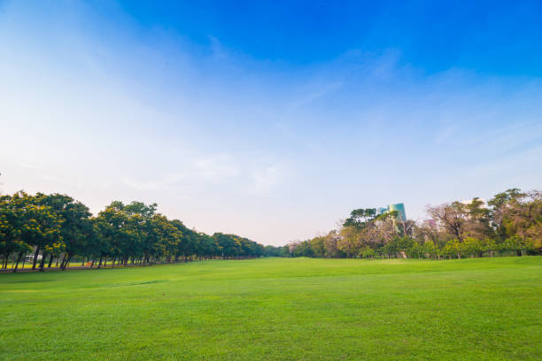 istock beautiful green park with sun light in evening 1283308778