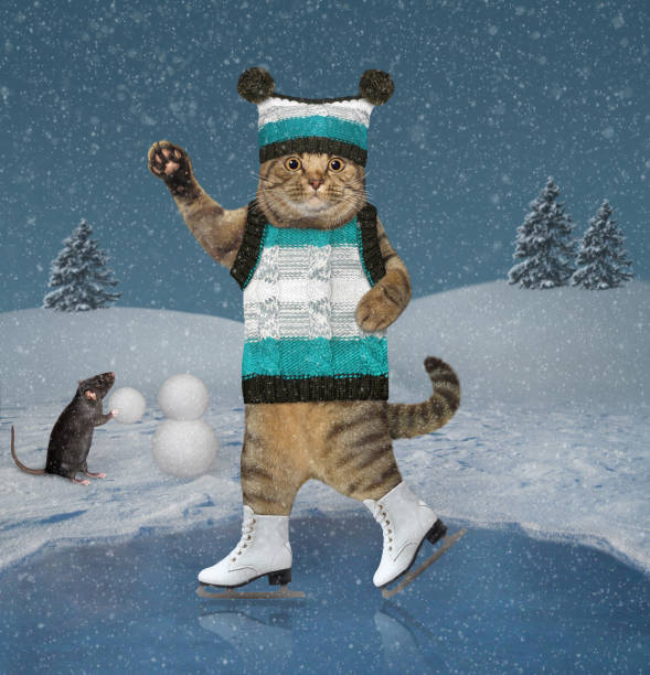 istock Cat in hat ice skating on pond 2 1283308894