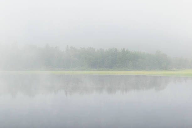 Morning Mist at lake in a wilderness