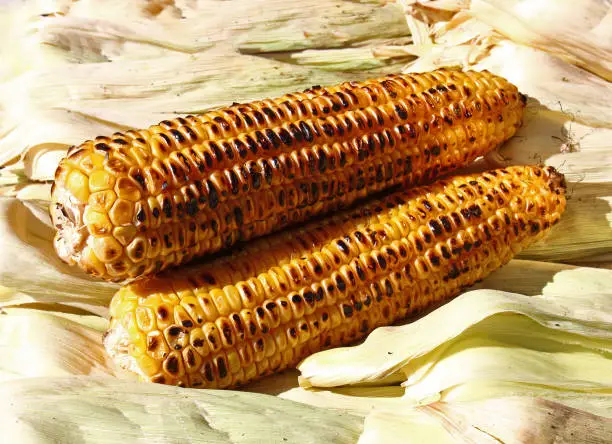 Photo of Close-up of golden sweet corn on bbq grill. Sale roasted corn cobs on street