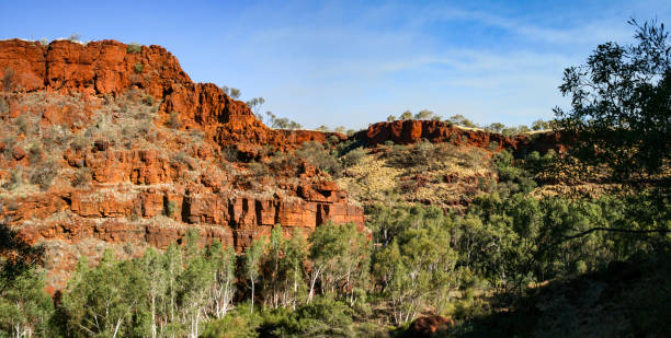 Hiking and swimming in Karijini National-Park, Western Australia with beautiful rock formations stock photo